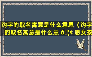 汮字的取名寓意是什么意思（汮字的取名寓意是什么意 🦢 思女孩）